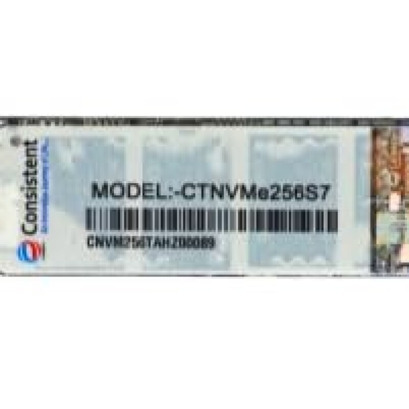 CONSISTENT SSD NVME 256GB