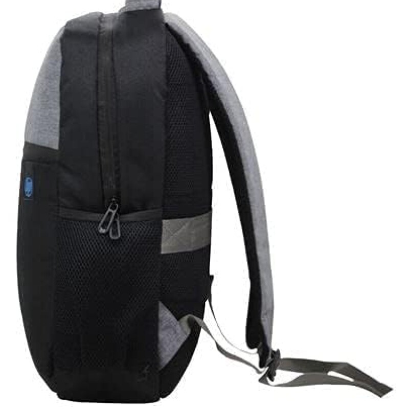 HP Essential Series Laptop Backpack Size 15.6 Inch for Laptop/Chromebook/Mac (Black) (2P7U6P3) Bag