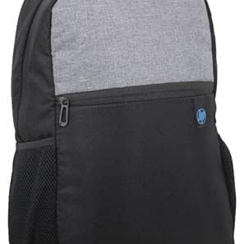 HP Essential Series Laptop Backpack Size 15.6 Inch for Laptop/Chromebook/Mac (Black) (2P7U6P3) Bag