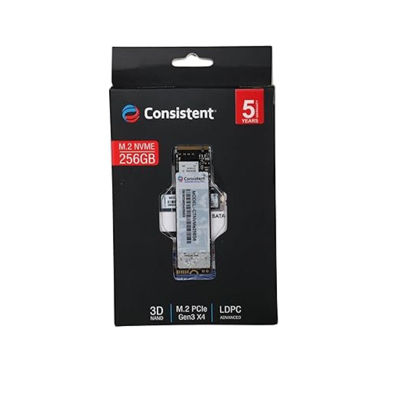 CONSISTENT SSD NVME 256GB