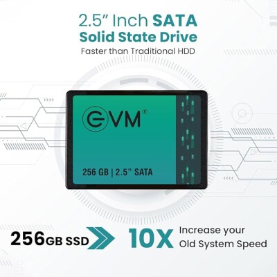 EVM 256GB 2.5-Inch SATA Internal SSD - 550MB/s Read & 500MB/s Write - 5-Year Warranty (EVM25/256GB)