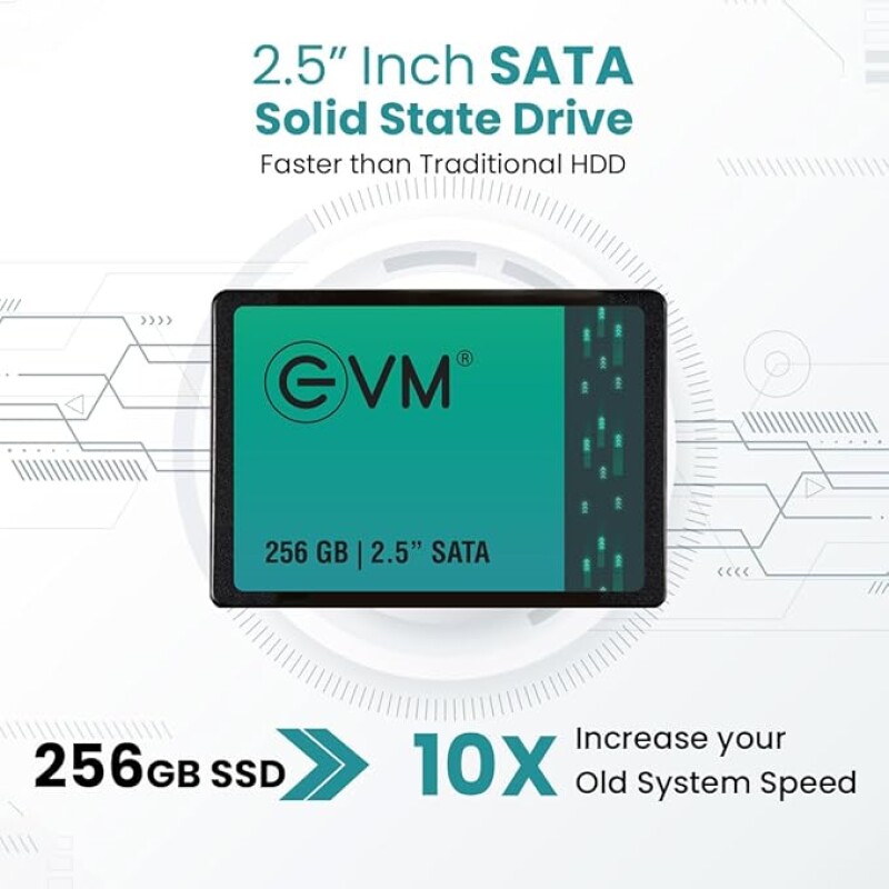 EVM 256GB 2.5-Inch SATA Internal SSD - 550MB/s Read & 500MB/s Write - 5-Year Warranty (EVM25/256GB)